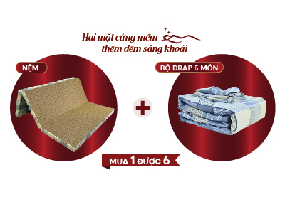 Nệm cặp đôi bông foam ép 1 mặt chiếu vỏ lồng  S’BED FLEX FORLIFE/EVAR