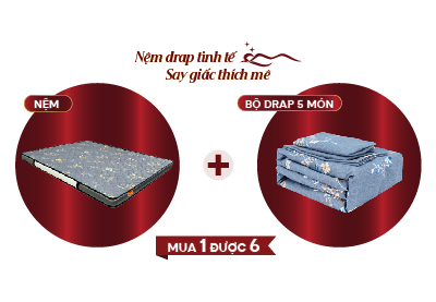 Nệm cặp đôi ép dẻo thế hệ mới S’BED MIXED ONLY/CHARLY, Vải cotton